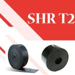 SHR T2