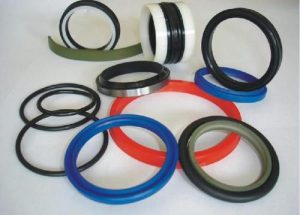 Gasket Type 1